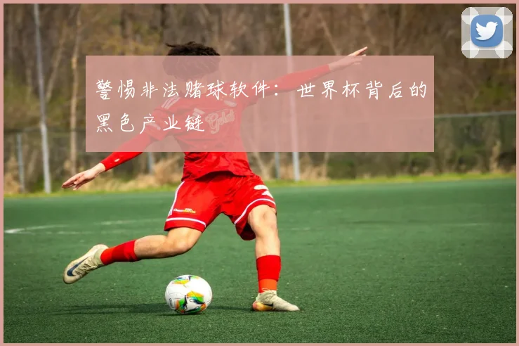 警惕非法赌球软件：世界杯背后的黑色产业链