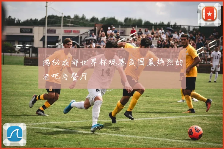 揭秘成都世界杯观赛氛围最热烈的酒吧与餐厅