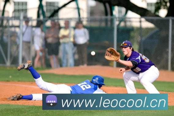 hth登录平台生态图